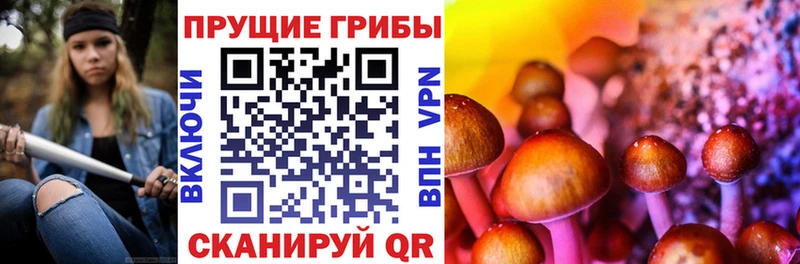 Псилоцибиновые грибы MAGIC MUSHROOMS  гидра ссылки  Алушта 