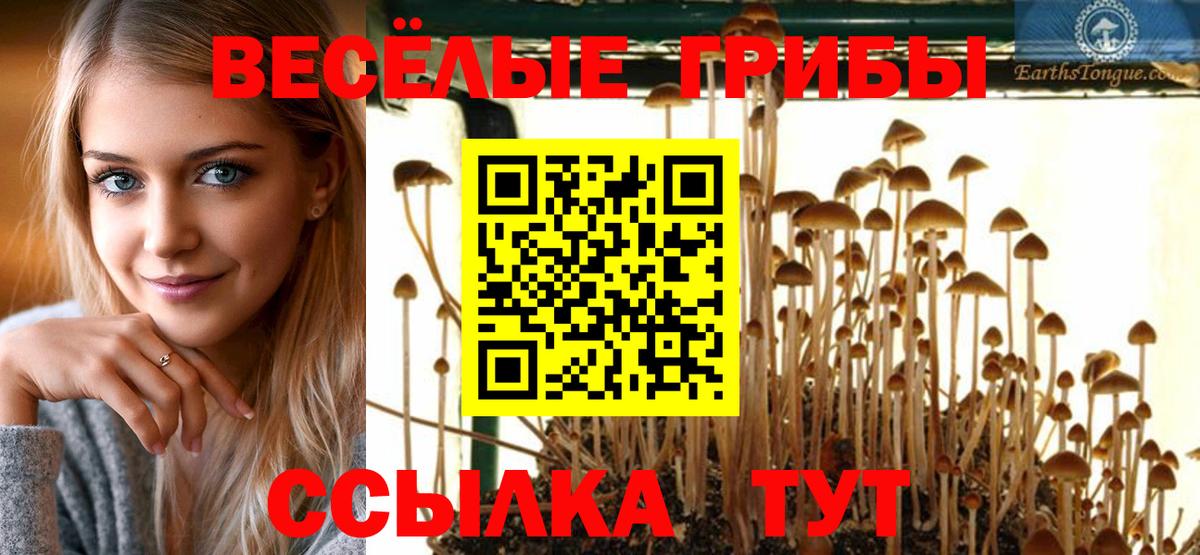 Галлюциногенные грибы мухоморы Алушта