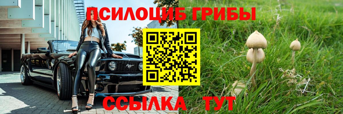 Алушта  Псилоцибиновые грибы Psilocybe  Вход с VPN 
